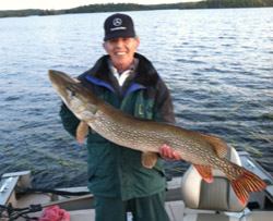 Beautiful Northern 