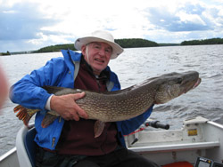 Nice Northern 