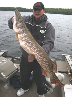 Trophy Northern