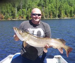 Nice Northern