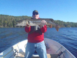 Northern PIke