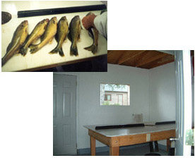 Fish Cleaning House